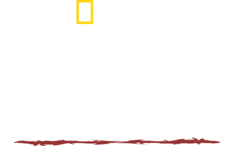 Πρωτόγονη Επιβίωση