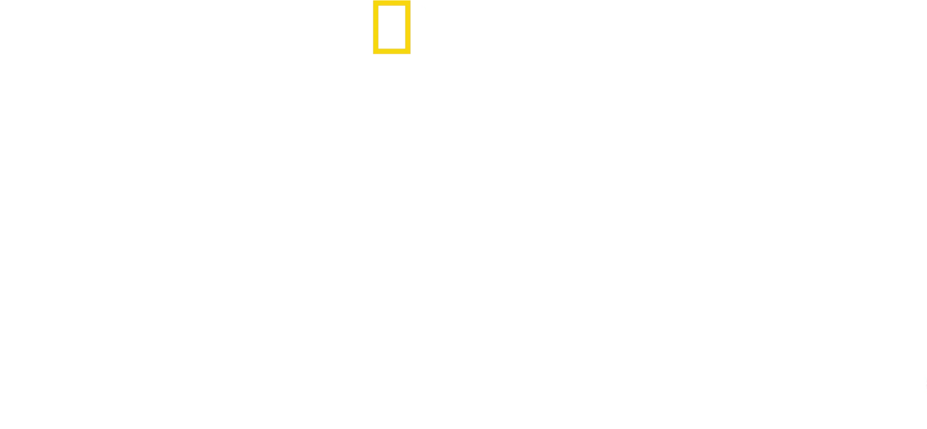 Familia de Animales
