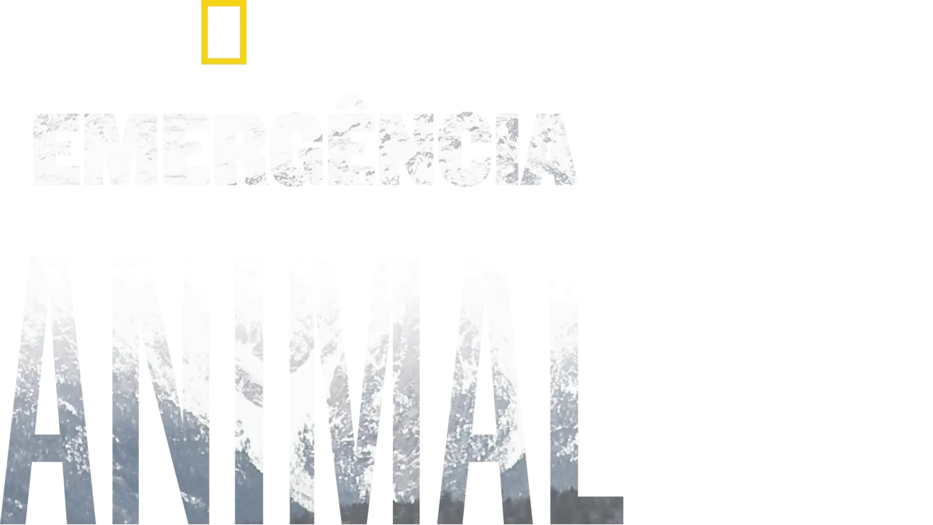 Emergência Animal