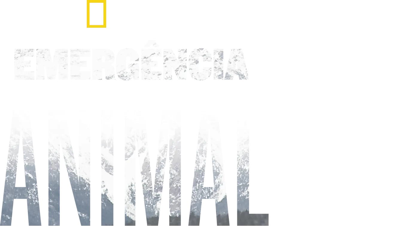 Emergência Animal