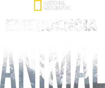 Emergência Animal