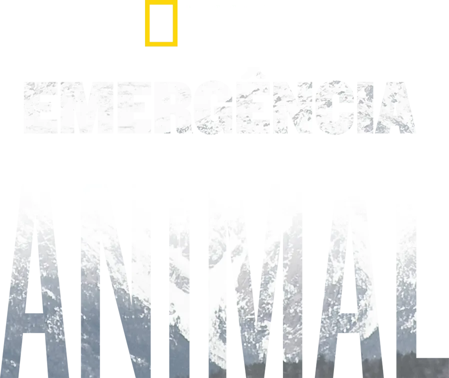 Emergência Animal