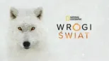 thumbnail - Wrogi świat