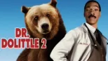 thumbnail - Dr. Dolittle 2