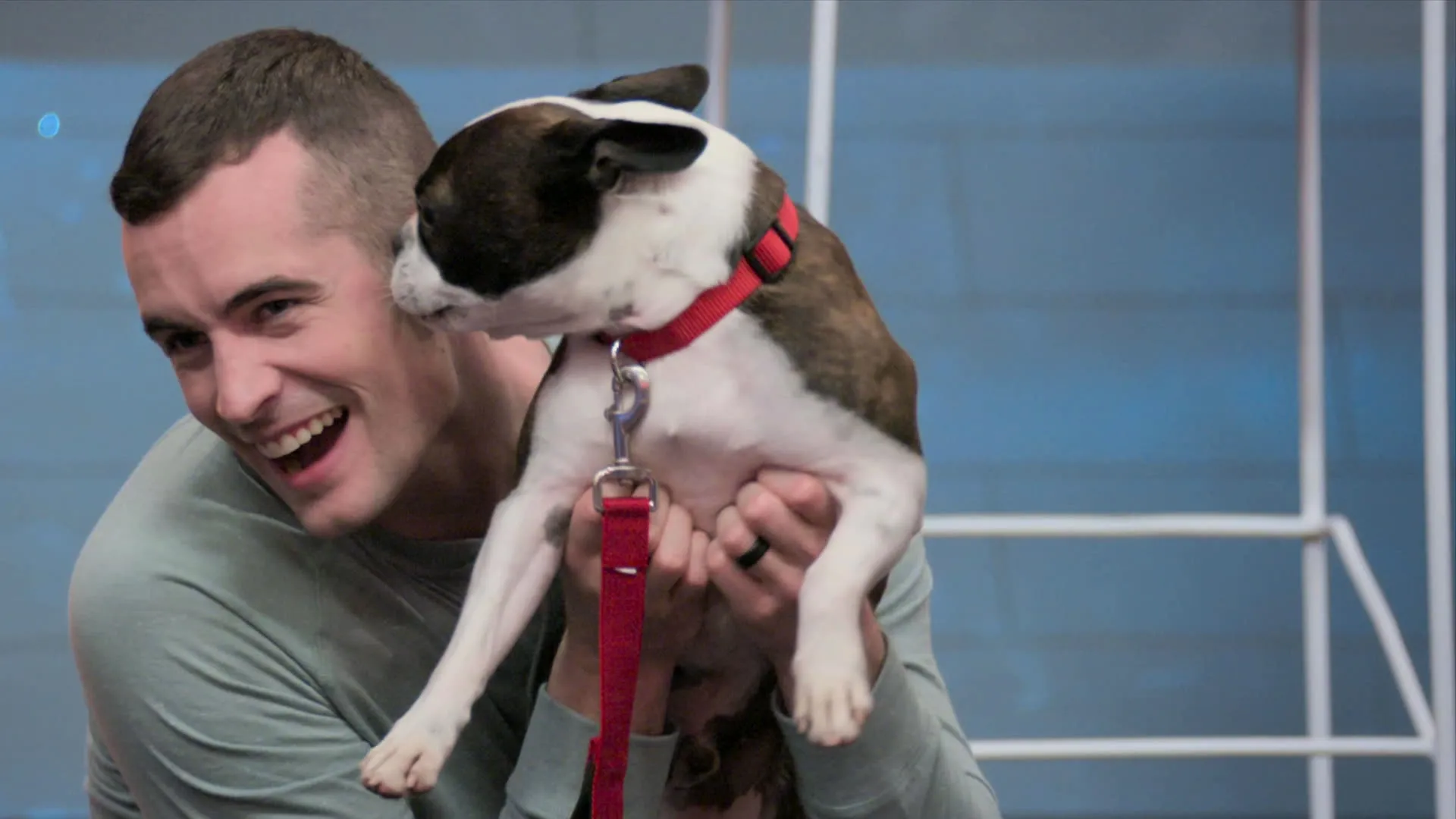thumbnail - S3:E5 Brickminster Dog Show