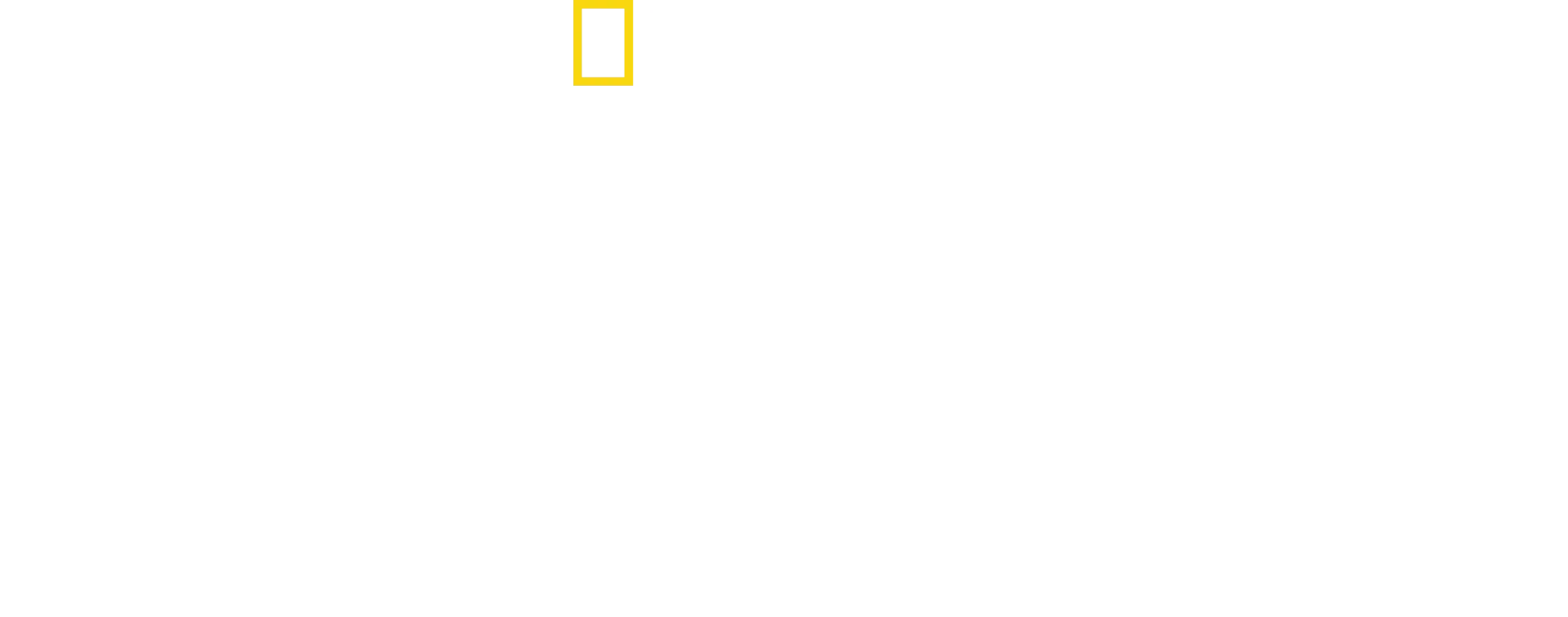 Bertie Gregory: bliskie spotkanie z delfinami