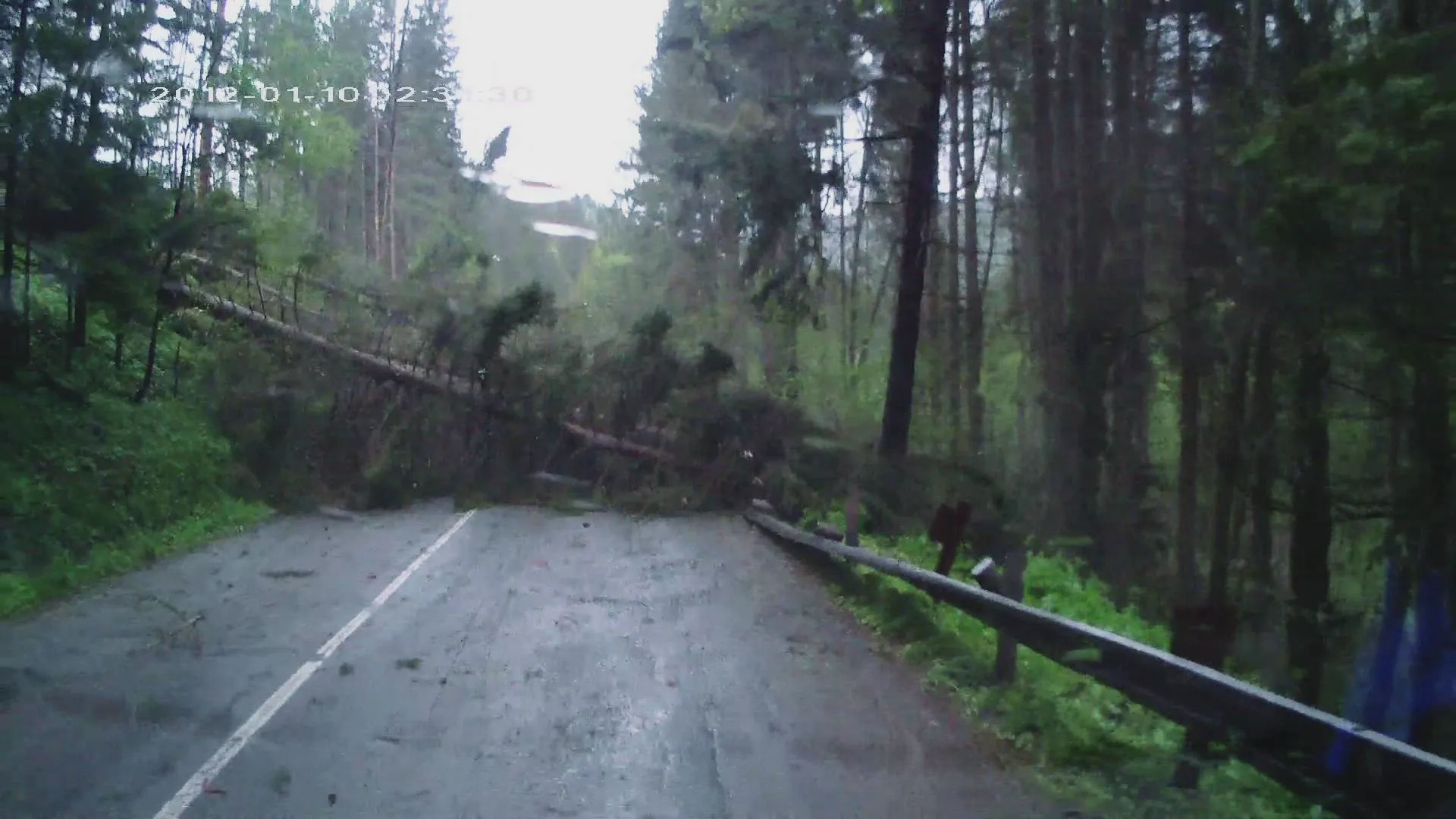 thumbnail - S1:E8 The Hindenburg Disaster, Pilot's Ejection Fail, When Trees Attack and Stuck in a Cave