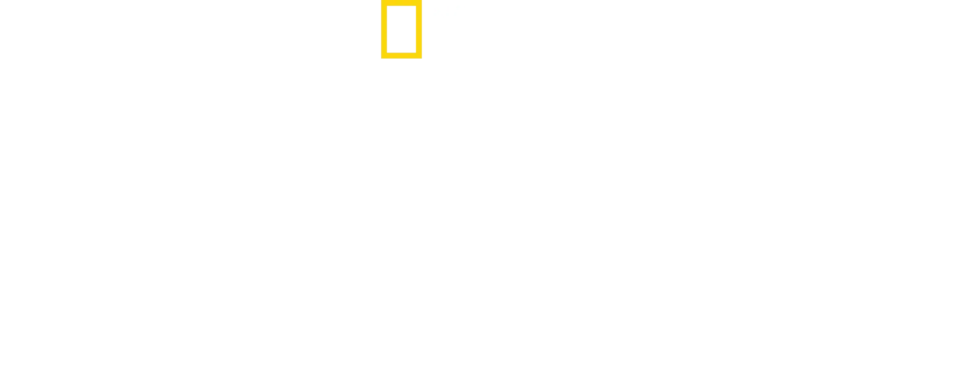 Állati gyerekmesék