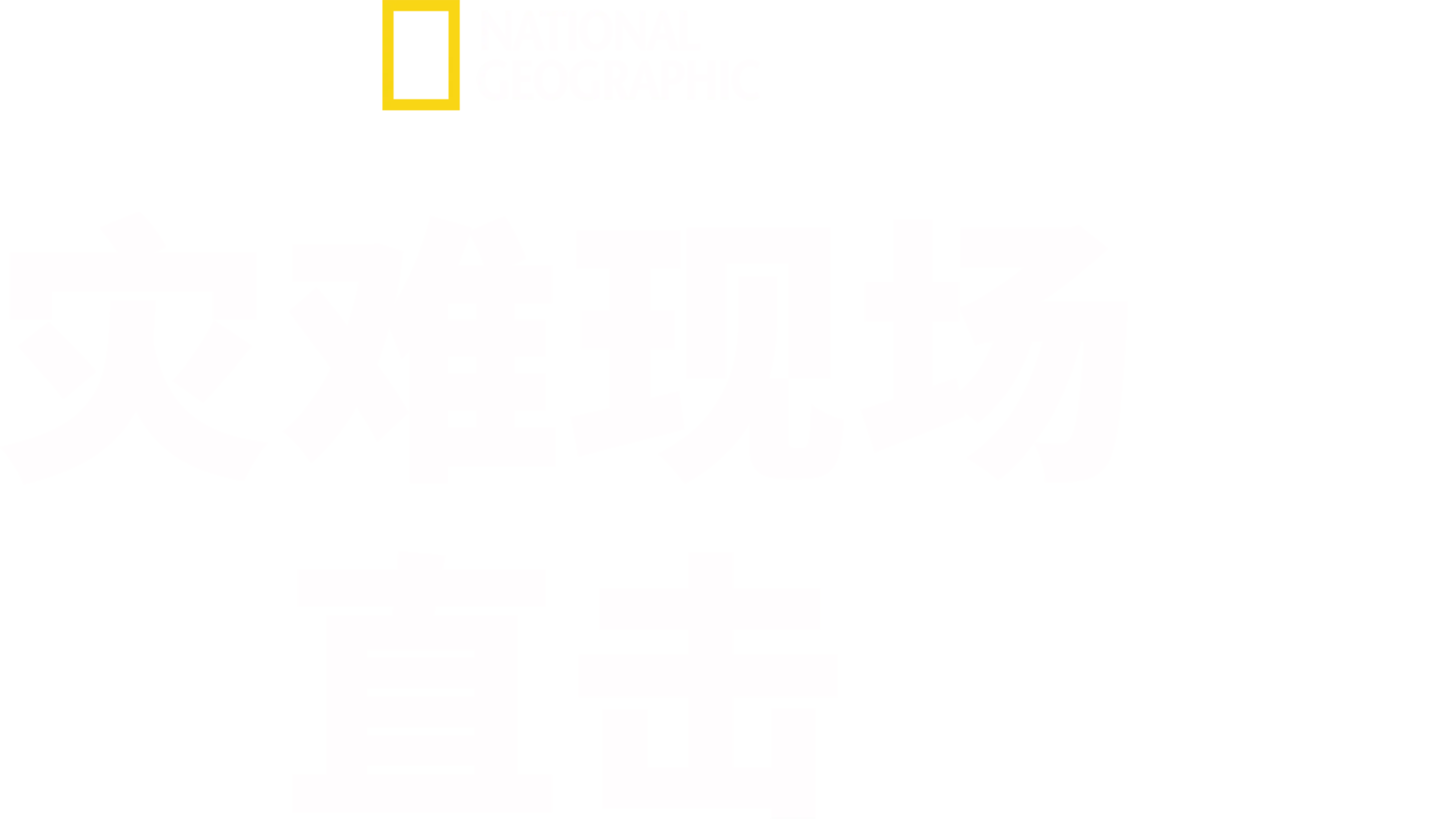 灾难现场直击