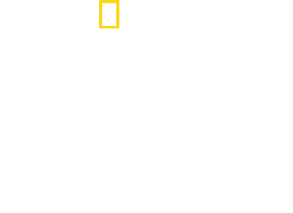 灾难现场直击