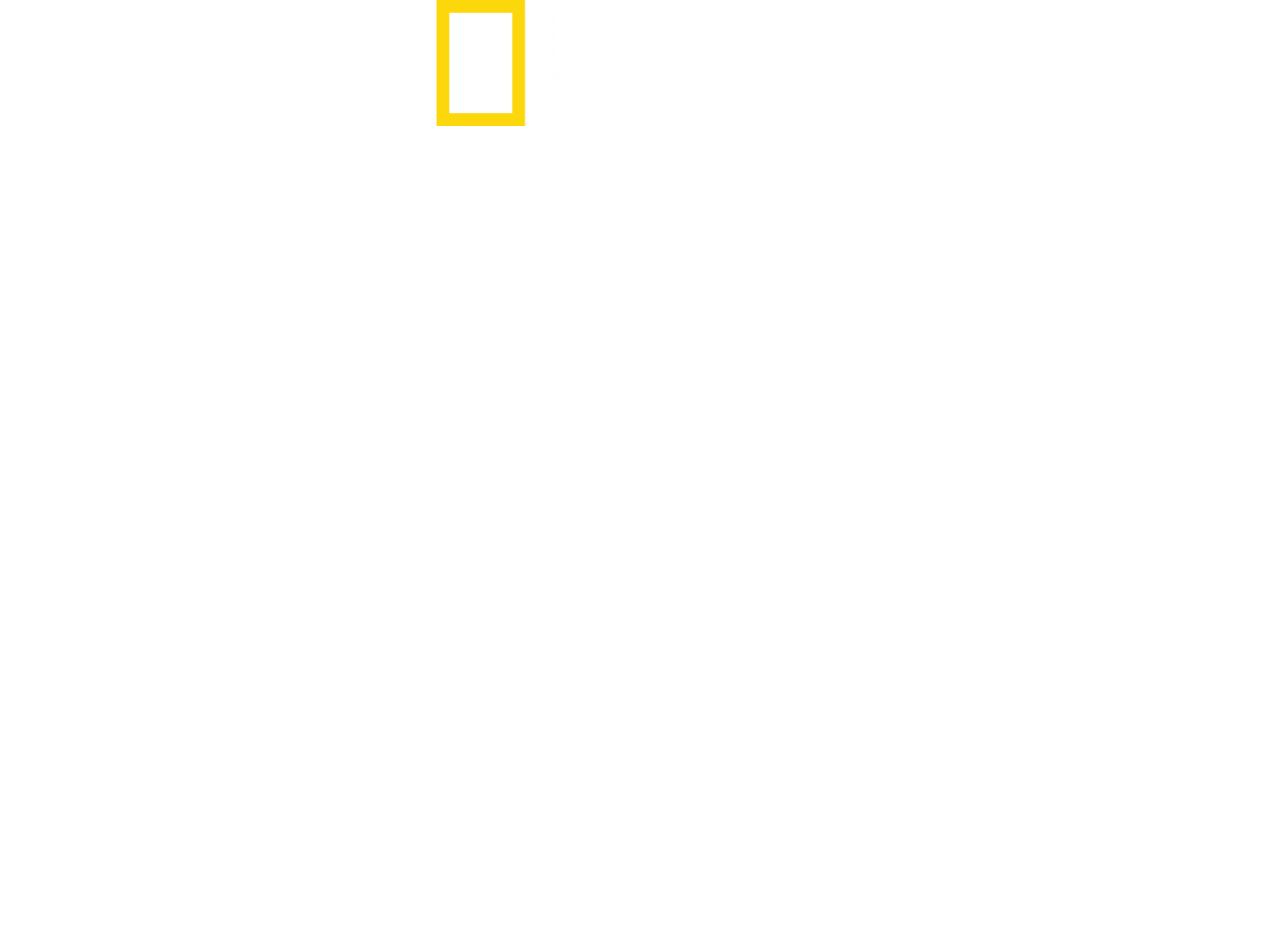 灾难现场直击