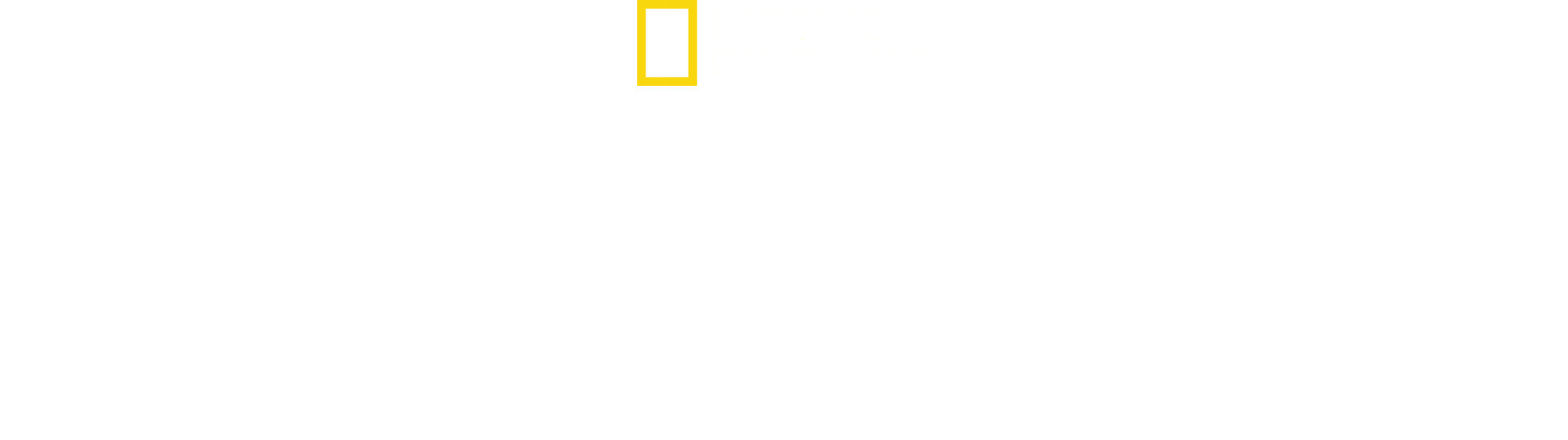 L'invasion des requins-bouledogues