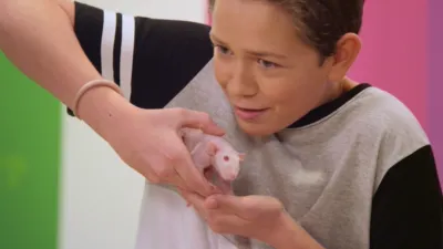 thumbnail - S1:E2 Would You Wrather Kiss A Hairless Rat or Eat Worms?