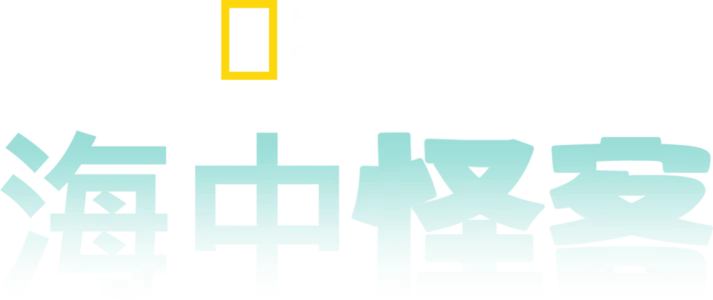海中怪客