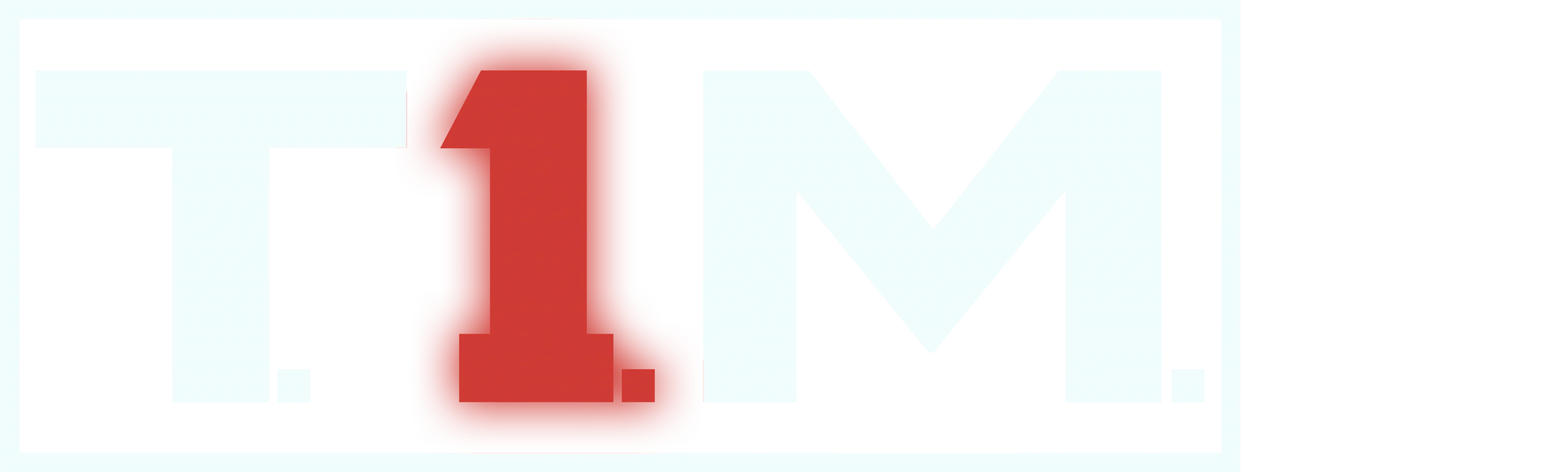T.I.M.