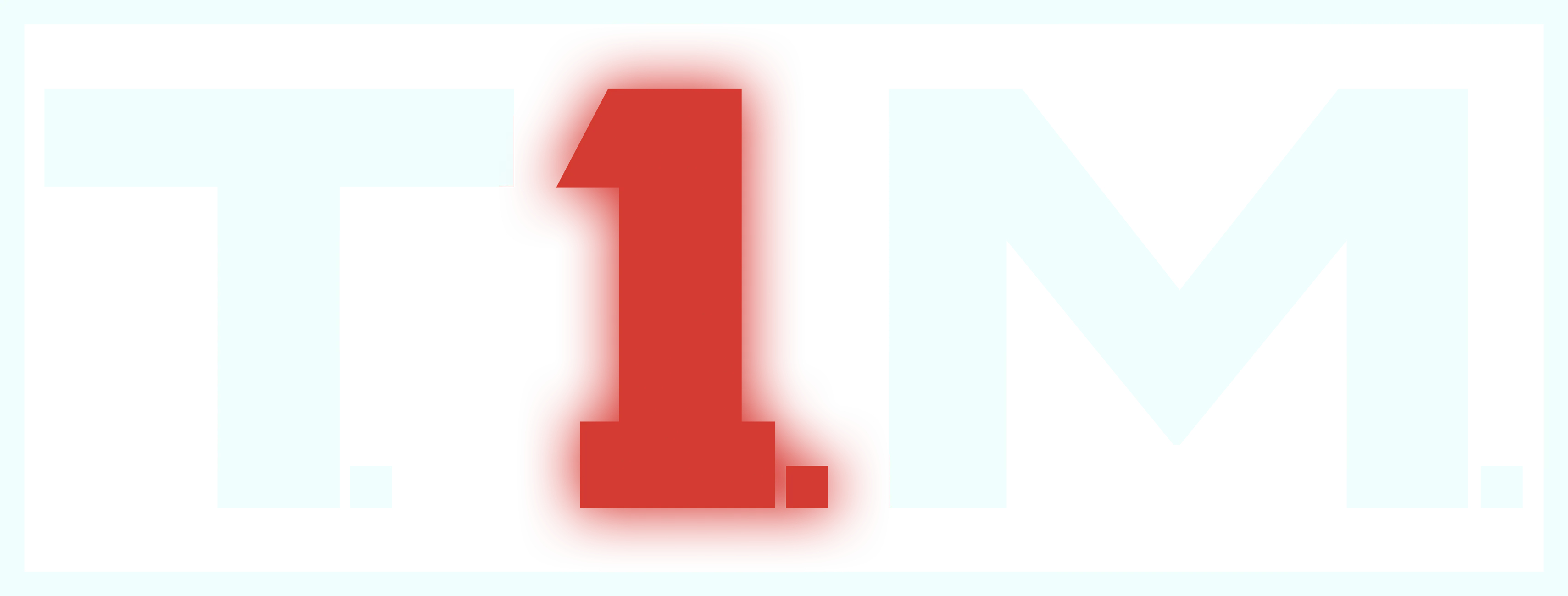 T.I.M.