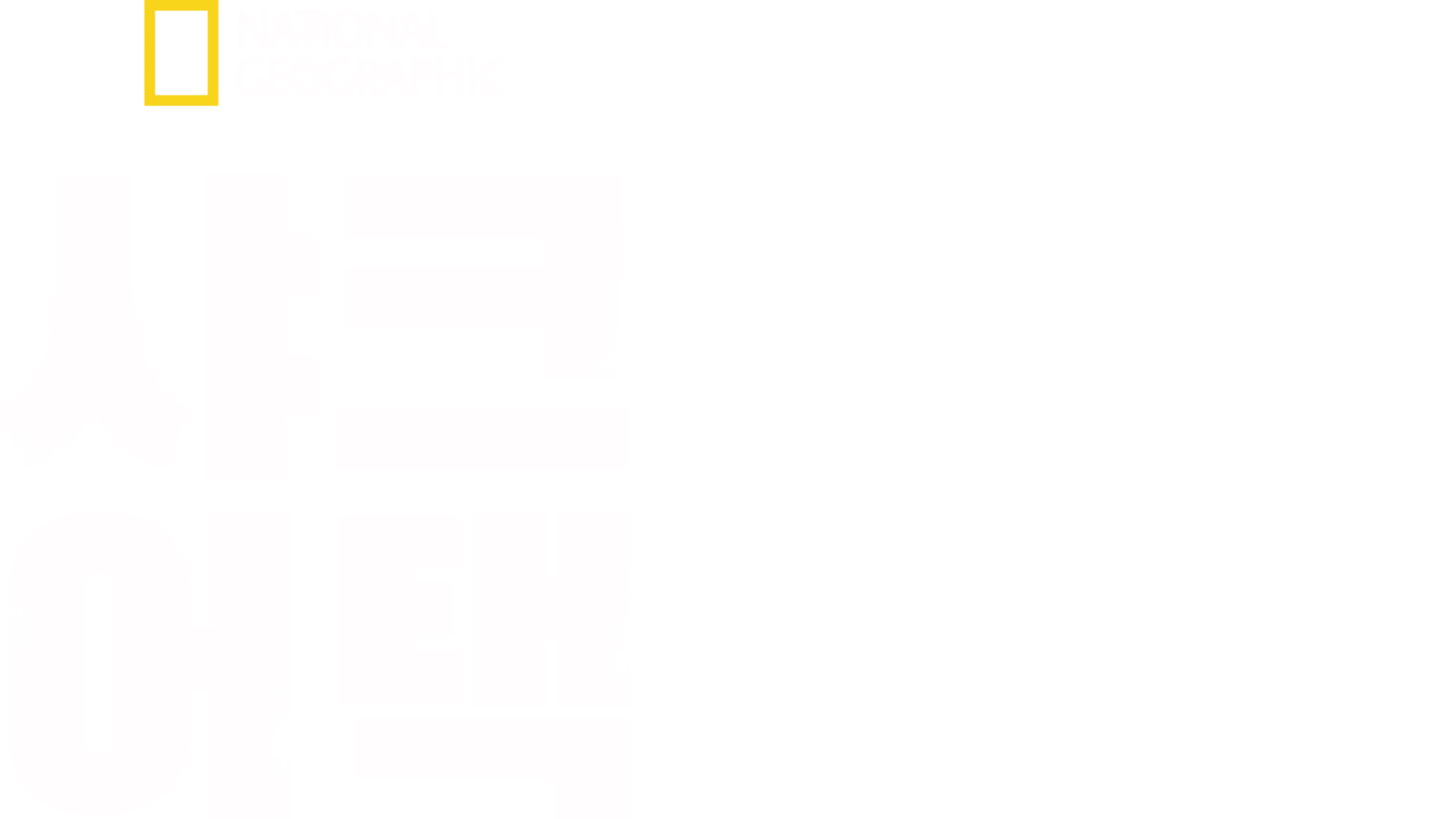 샤크 어택