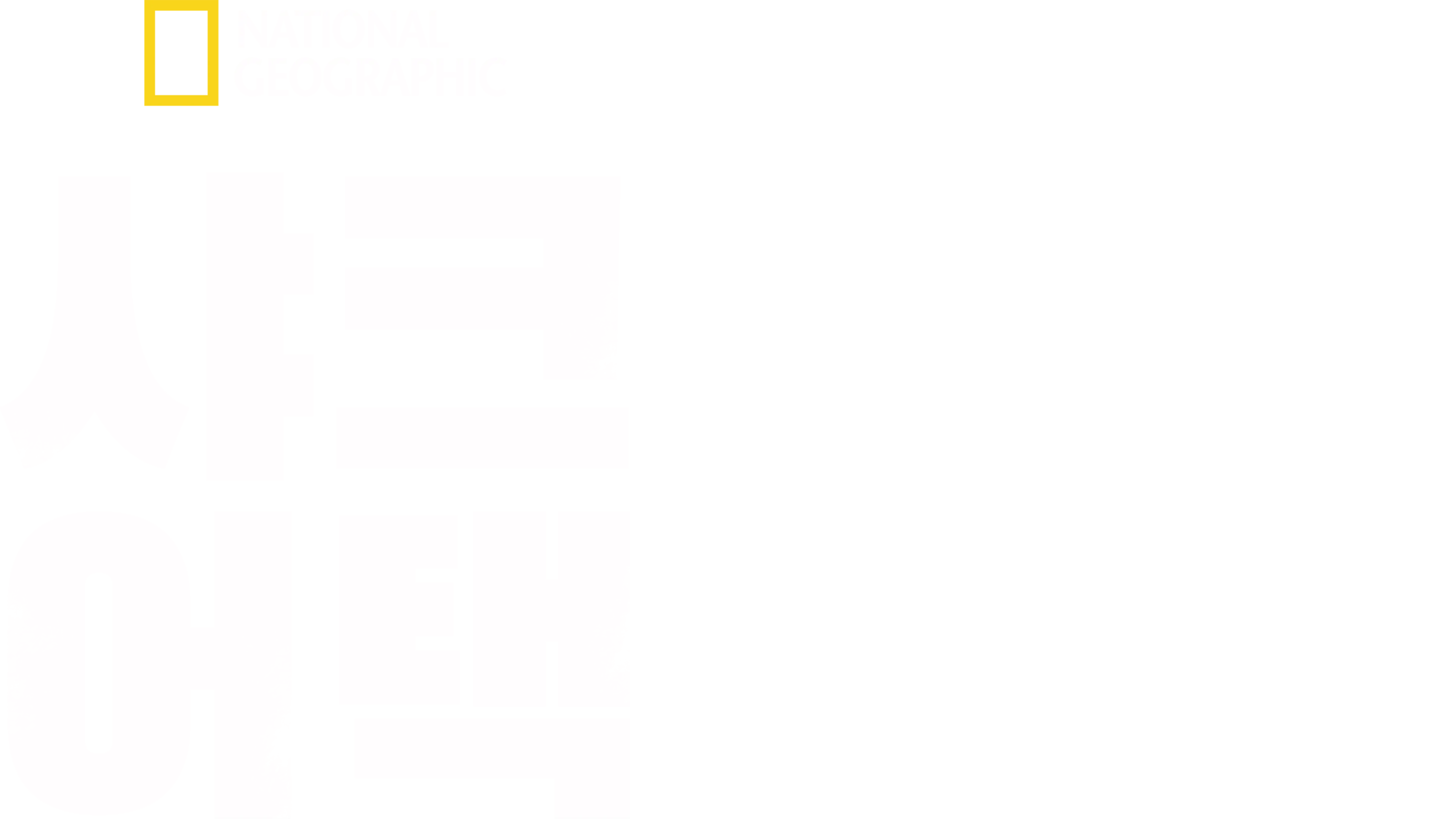 샤크 어택