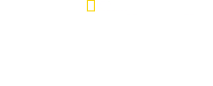 Äärimmäistä selviytymistä: toinen maailmasota