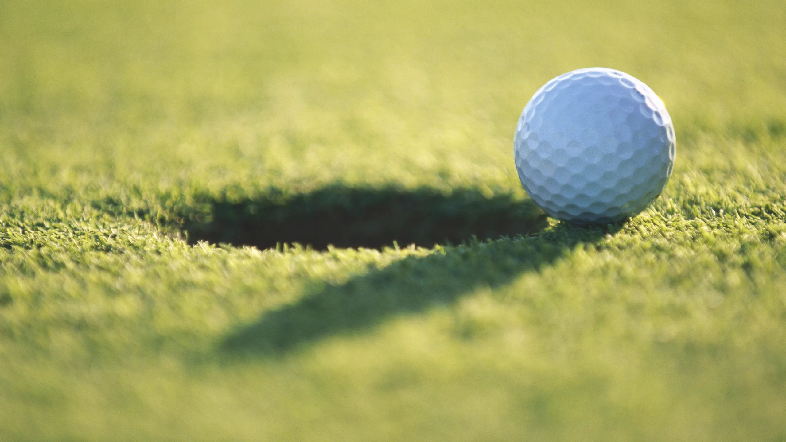 DP World India Championship (Second Round)
