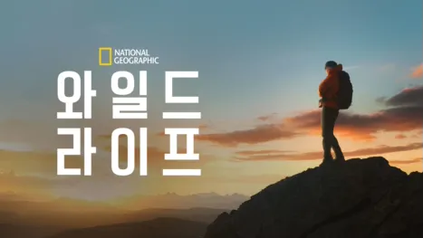 thumbnail - 와일드 라이프