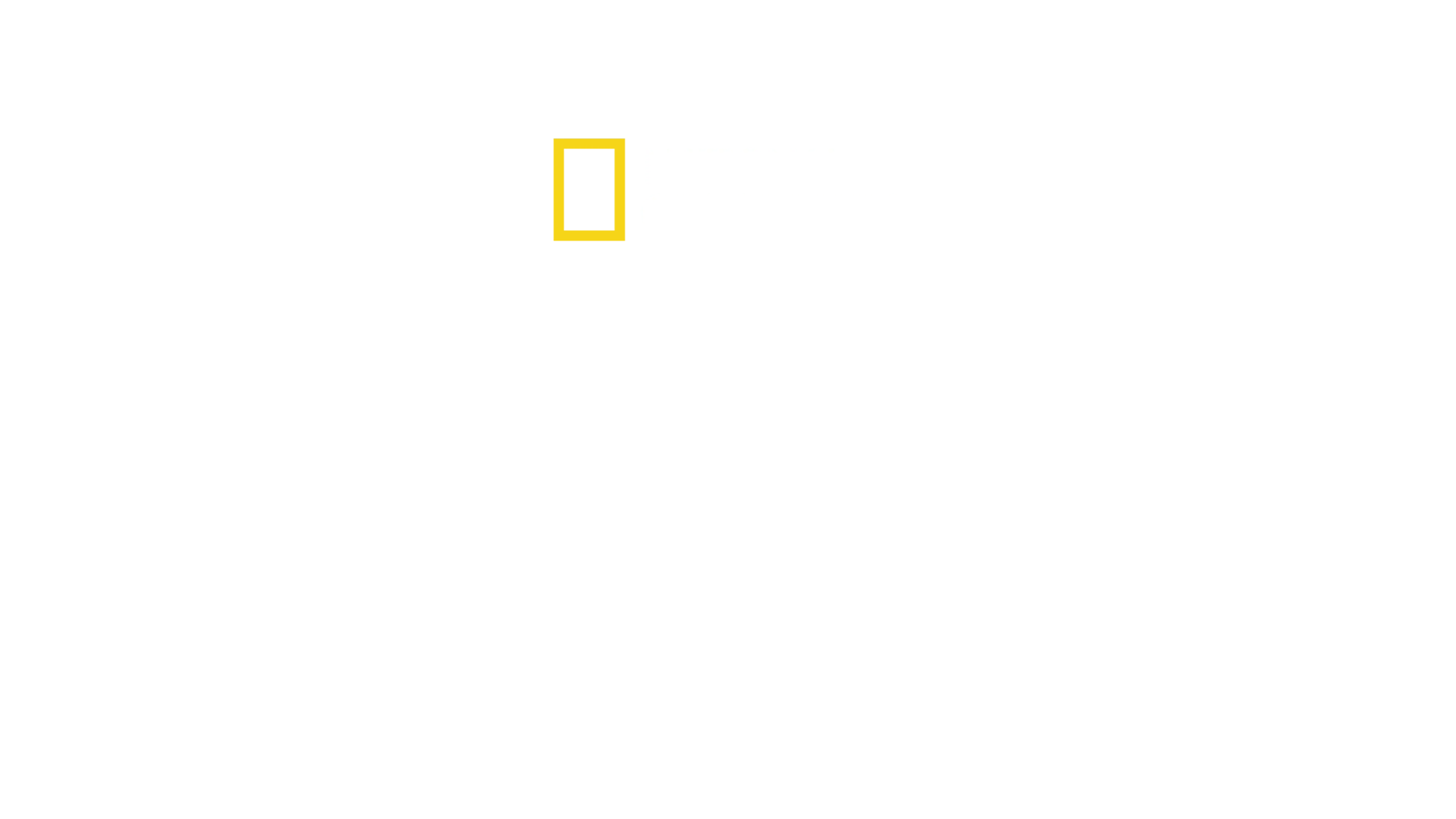 Walki zwierząt