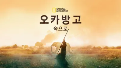 오카방고 속으로