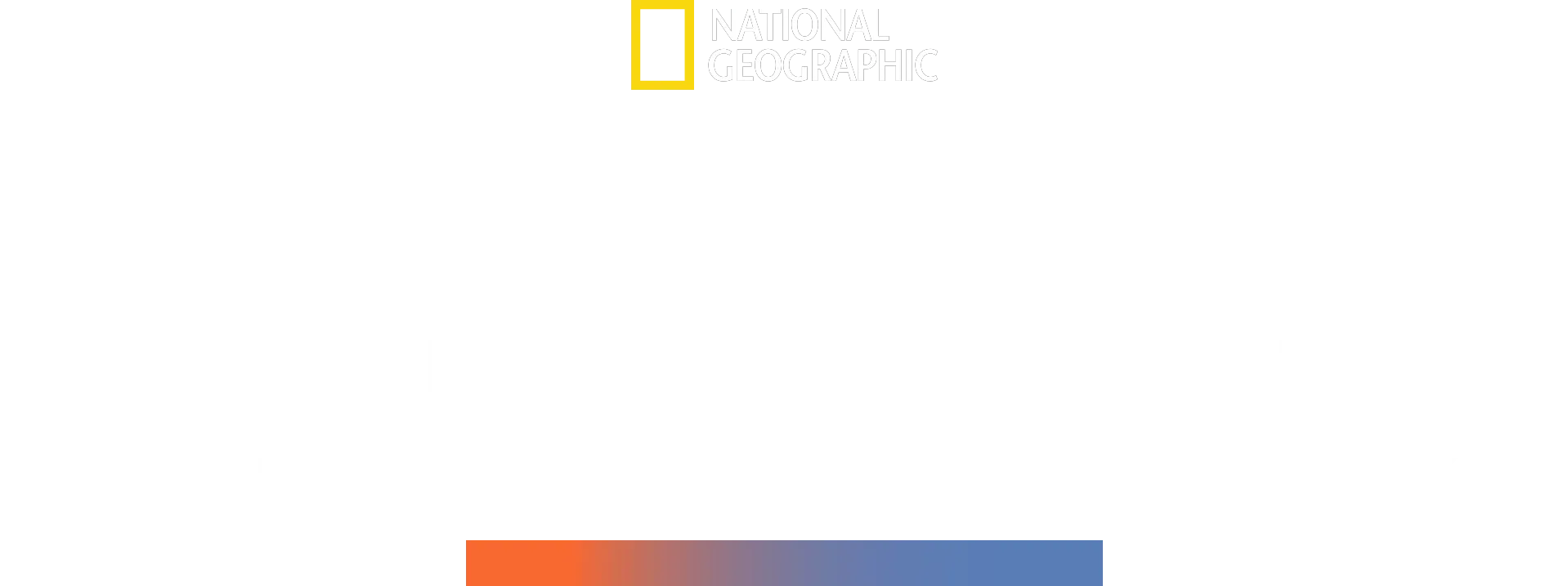 Den kæmpe hammerhaj
