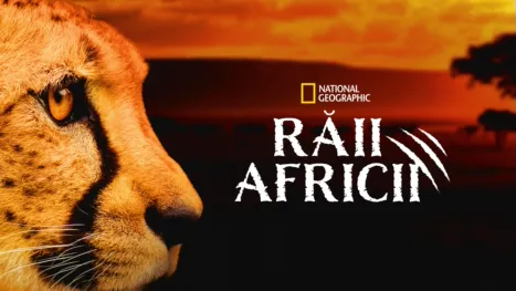 thumbnail - Răii Africii