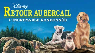 Retour au bercail : L’Incroyable Randonnée