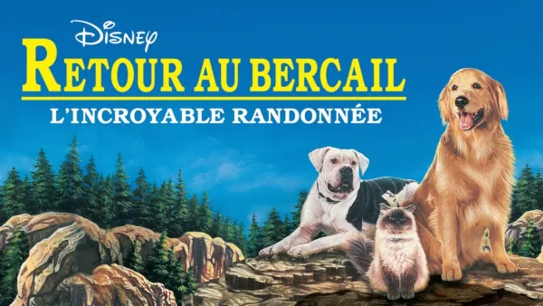 thumbnail - Retour au bercail : L’Incroyable Randonnée