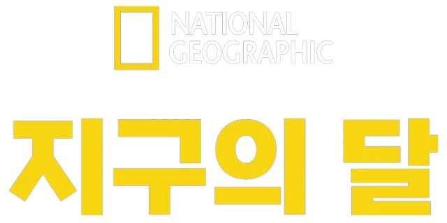 지구의 달
