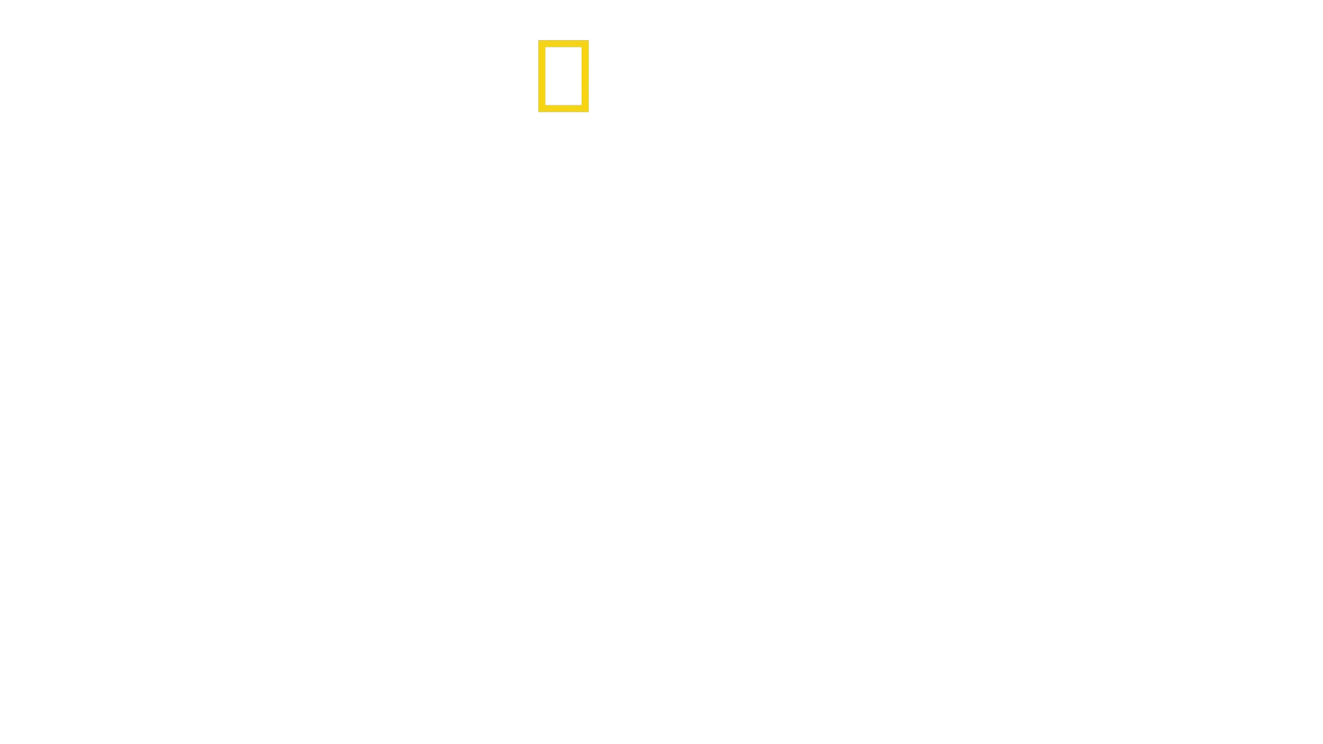 Howie Mandel's Animals Doing Things