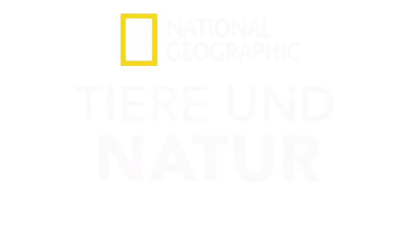 National Geographic – Tiere und Natur