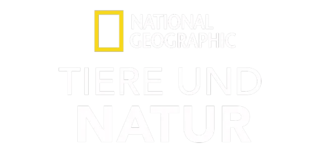 National Geographic – Tiere und Natur