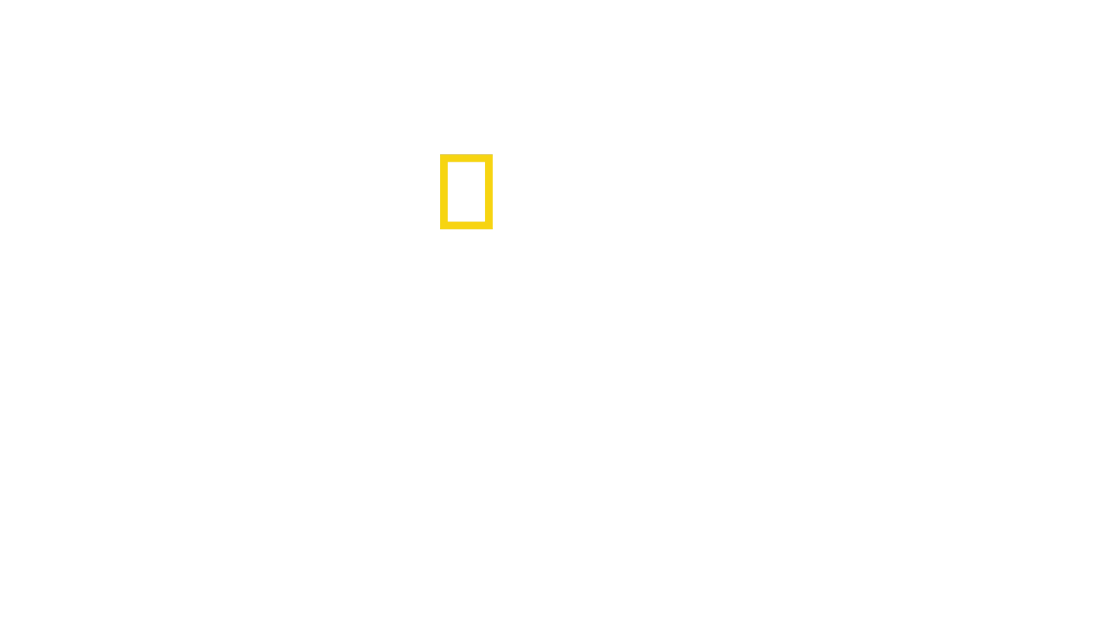 草原犬鼠大宅門