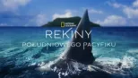 thumbnail - Rekiny południowego Pacyfiku