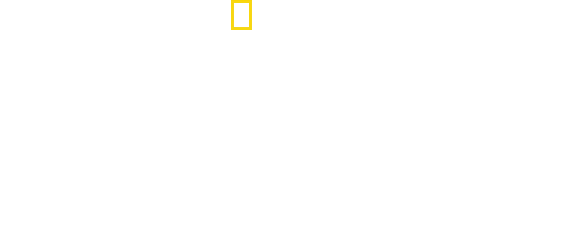 Eläinlasten matkassa