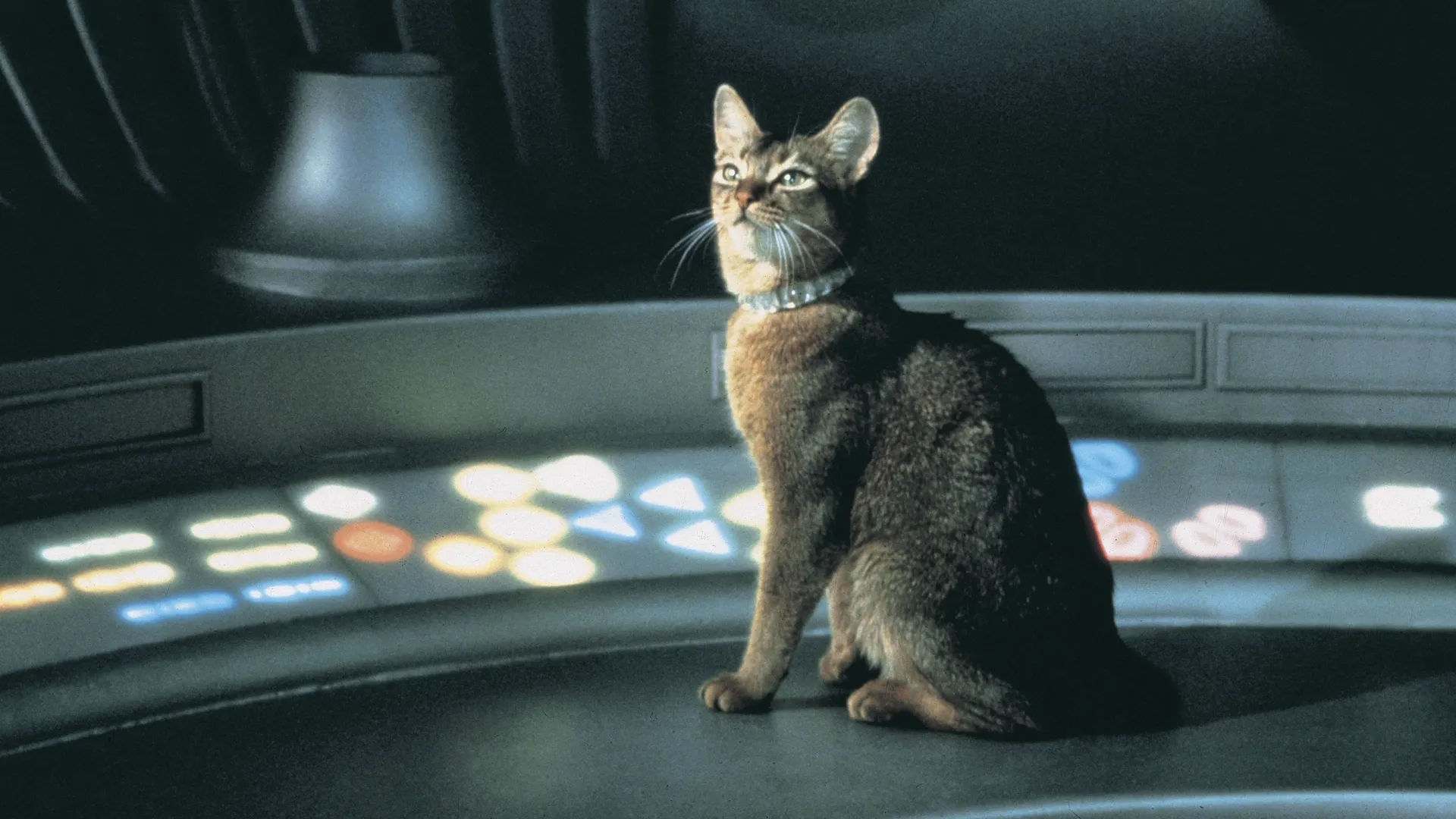 CAT FROM OUTER SPACE, THE