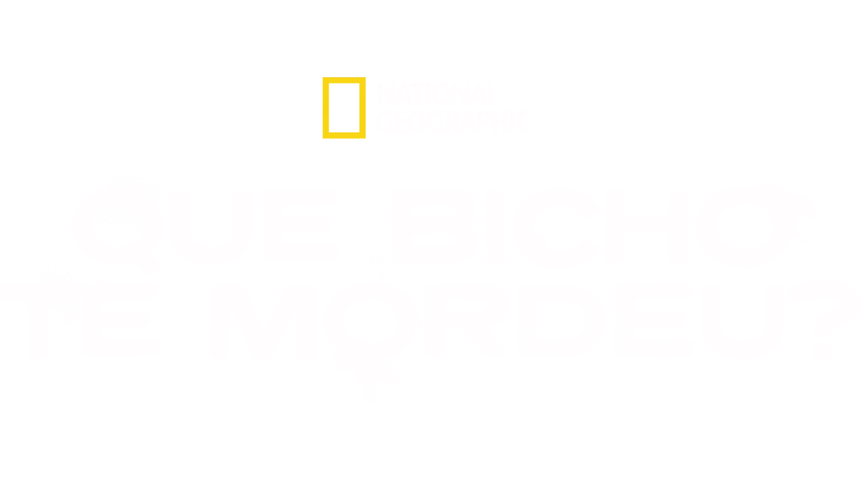 Que Bicho te Mordeu?