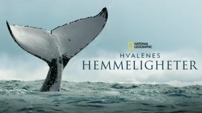 Hvalenes hemmeligheter