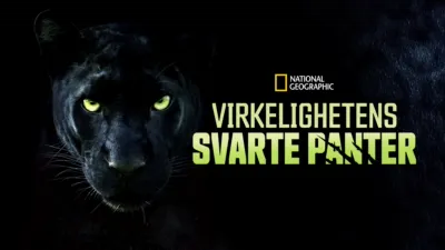 Virkelighetens svarte panter