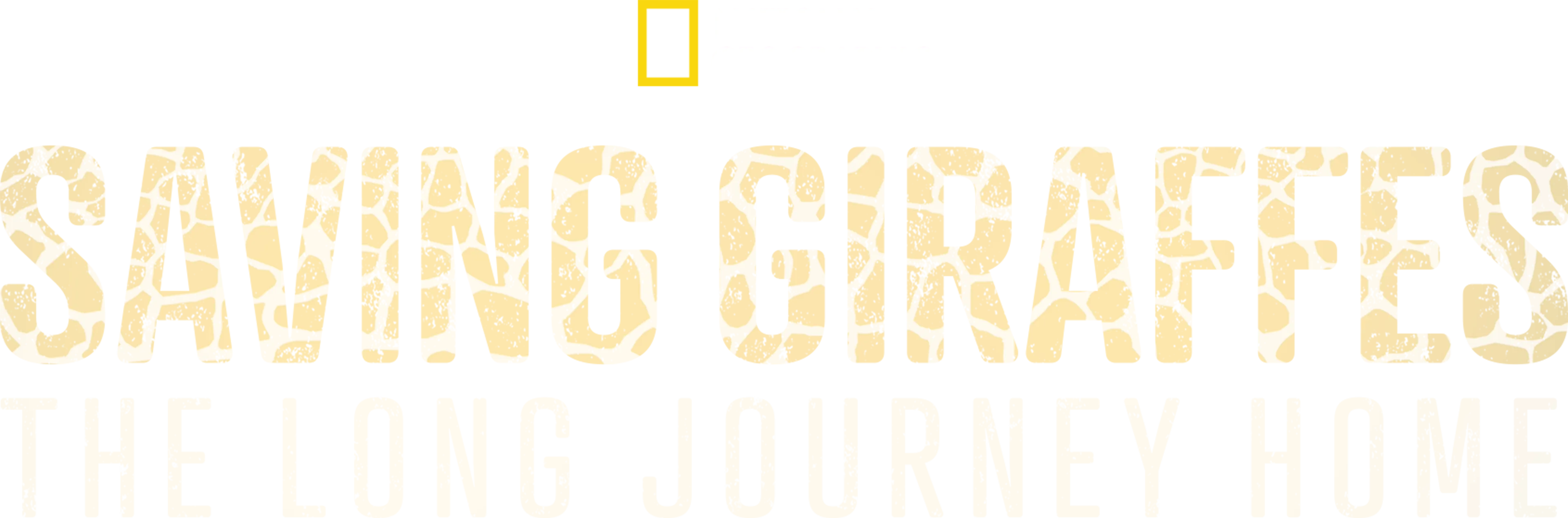 Saving Giraffes: The Long Journey Home