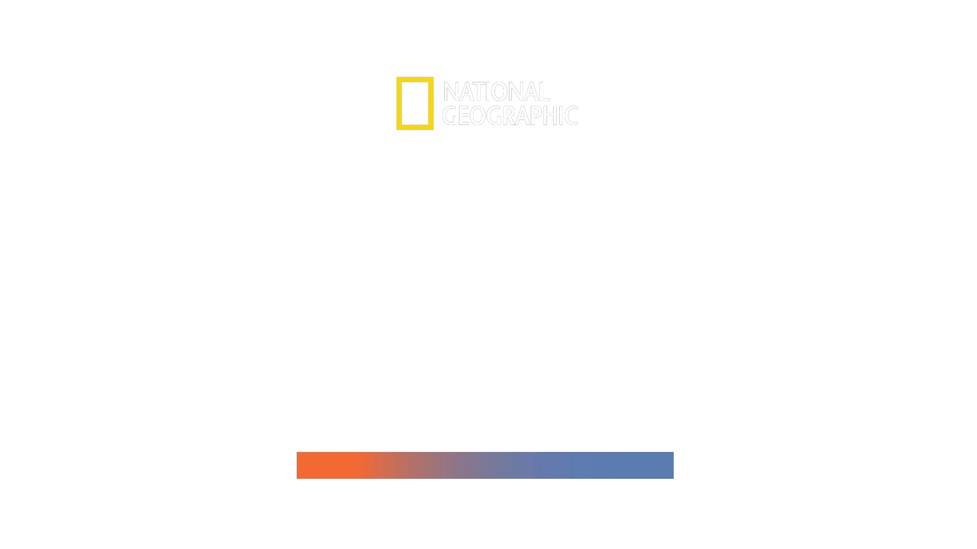 El tiburón martillo gigante