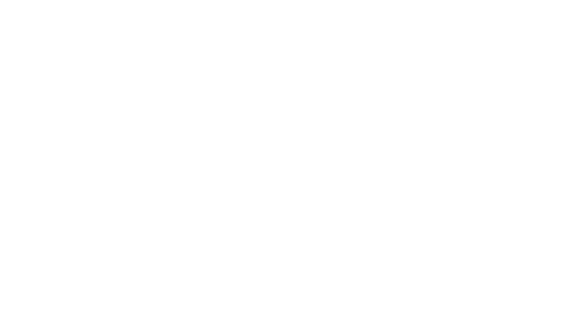 Una Donna in Carriera