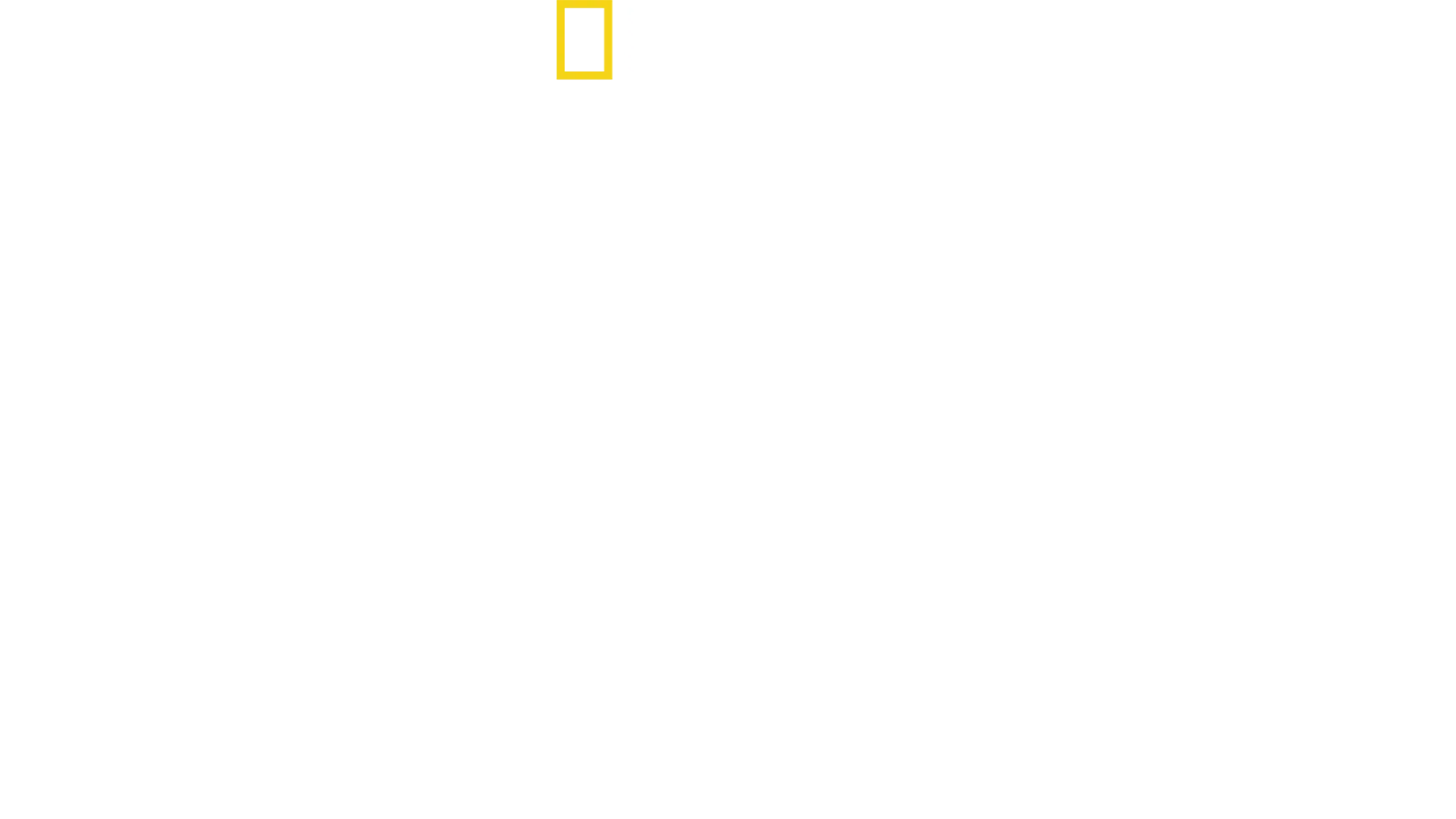 World's Deadliest Snakes