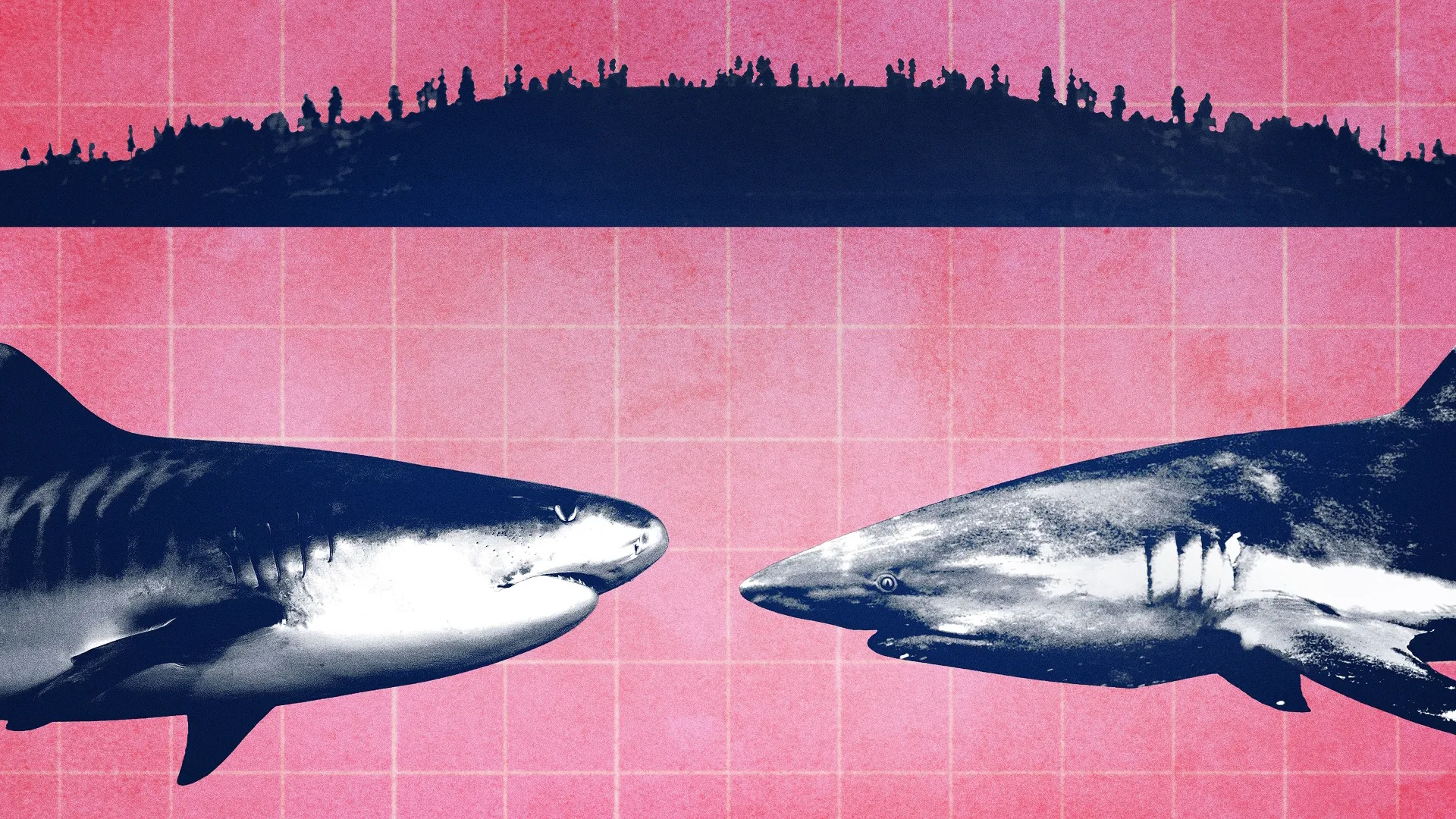 A stylized, graphic illustration featuring two sharks swimming toward each other against a bright pink grid background, with a dark blue silhouette of a shoreline or crowd of people at the top.