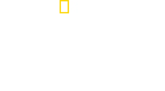 ローマ帝国の失われた秘宝