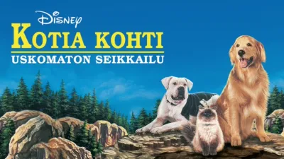 Kotia kohti - uskomaton seikkailu