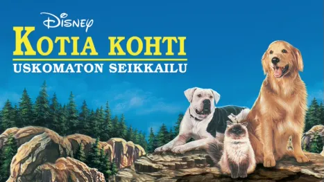 thumbnail - Kotia kohti - uskomaton seikkailu